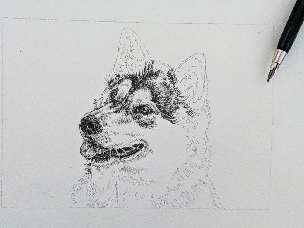 00000IMG_00000_BURST20200406162731795_COVER